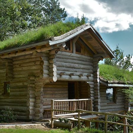 La Cabane De Hans Saint-Martial-de-Gimel Kültér fotó