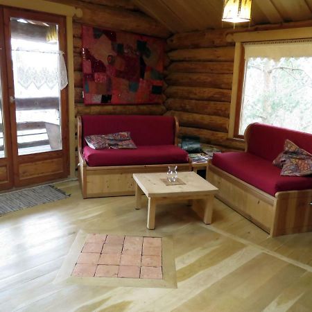 La Cabane De Hans Saint-Martial-de-Gimel Kültér fotó