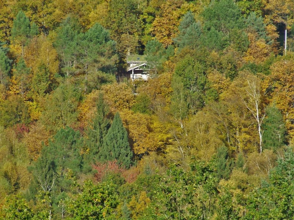 La Cabane De Hans Saint-Martial-de-Gimel Kültér fotó