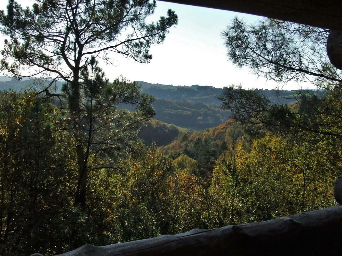 La Cabane De Hans Saint-Martial-de-Gimel Kültér fotó